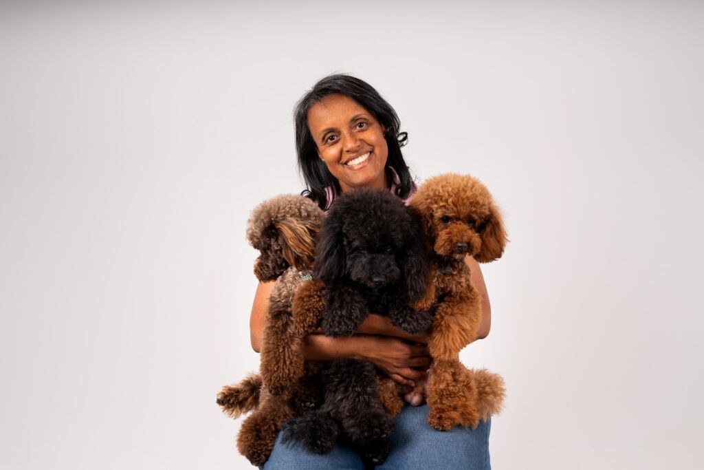 Poodle Black e Meek e Toy