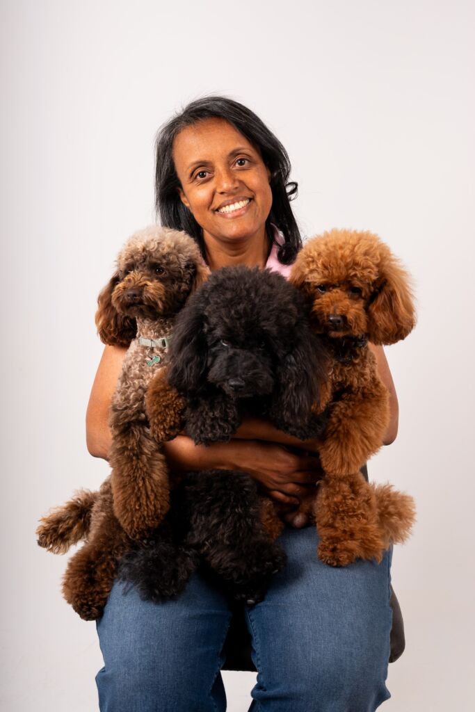 Poodle Black e Meek e Toy