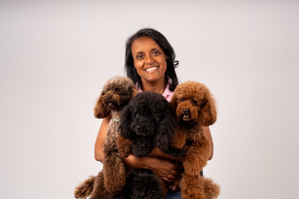 Poodle Black e Meek e Toy