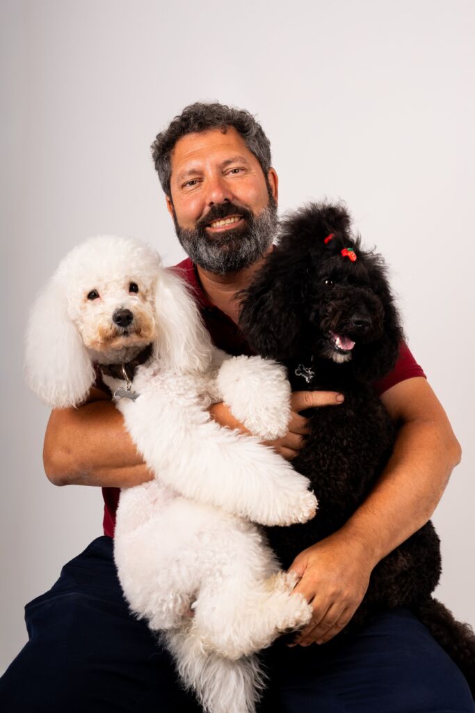 Poodle Malu e Snow