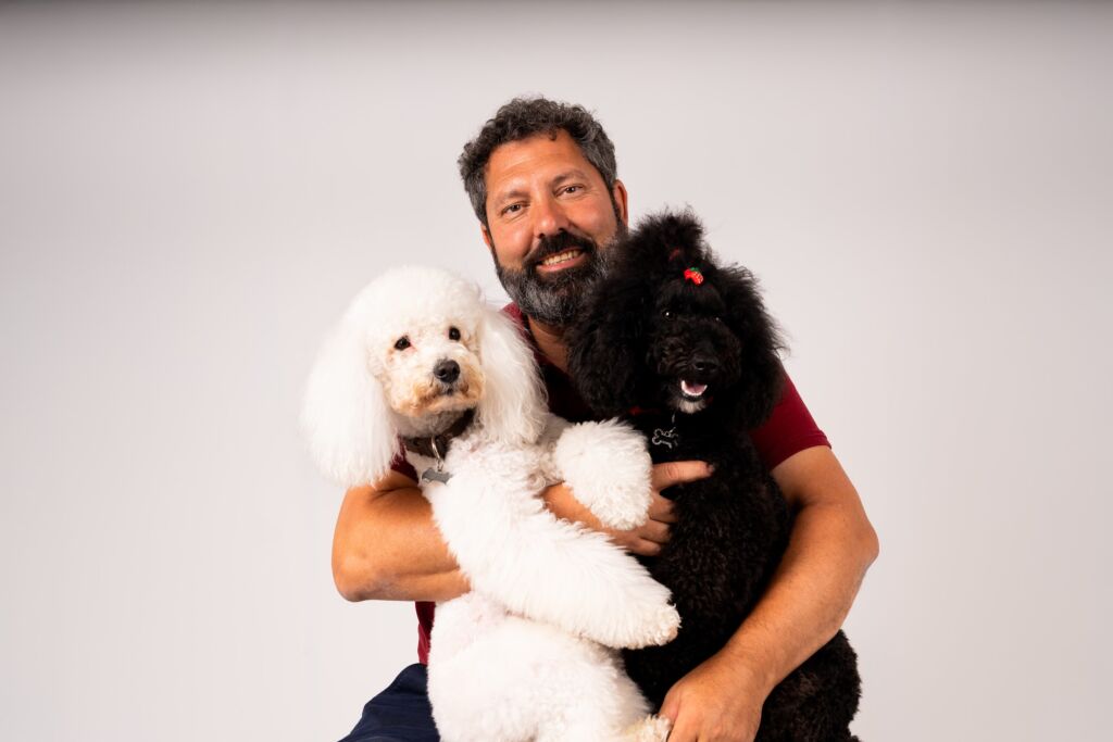 Poodle Malu e Snow