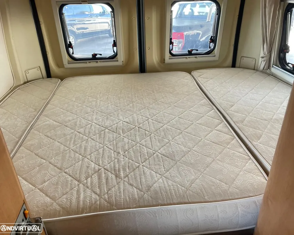 Roller Team Livingstone 2